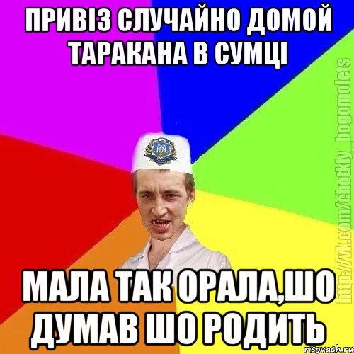 Привіз случайно домой таракана в сумці мала так орала,шо думав шо родить, Мем Чоткий пацан