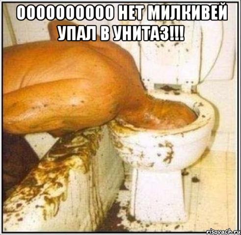 Оооооооооо нет милкивей упал в унитаз!!! , Мем Дайвер