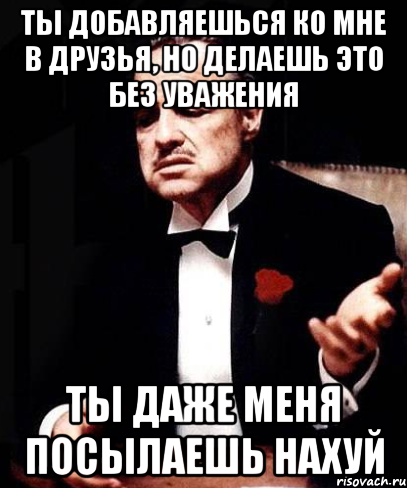 ТЫ ДОБАВЛЯЕШЬСЯ КО МНЕ В ДРУЗЬЯ, НО ДЕЛАЕШЬ ЭТО БЕЗ УВАЖЕНИЯ ТЫ ДАЖЕ МЕНЯ ПОСЫЛАЕШЬ НАХУЙ, Мем ты делаешь это без уважения