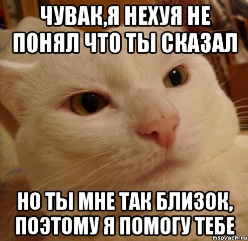 Чувак,я нехуя не понял что ты сказал Но ты мне так близок, поэтому я помогу тебе, Мем Дерзкий котэ - Рисовач .Ру