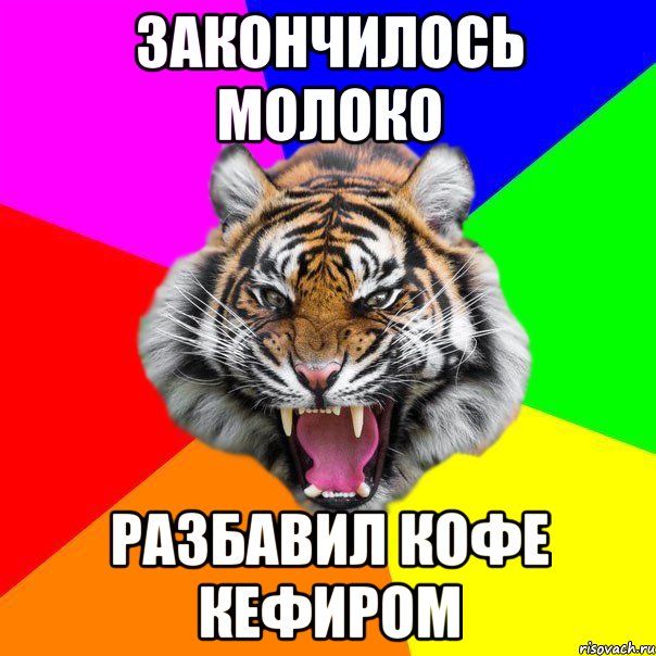 закончилось молоко разбавил кофе кефиром, Мем  ДЕРЗКИЙ ТИГР