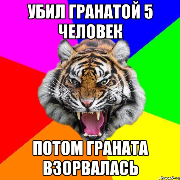 убил гранатой 5 человек потом граната взорвалась, Мем  ДЕРЗКИЙ ТИГР