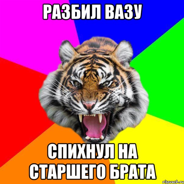 РАЗБИЛ ВАЗУ СПИХНУЛ НА СТАРШЕГО БРАТА