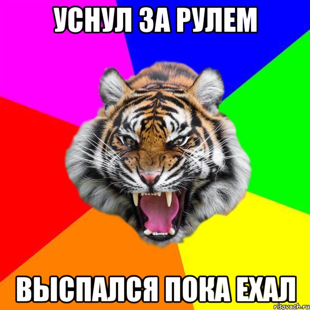 уснул за рулем выспался пока ехал