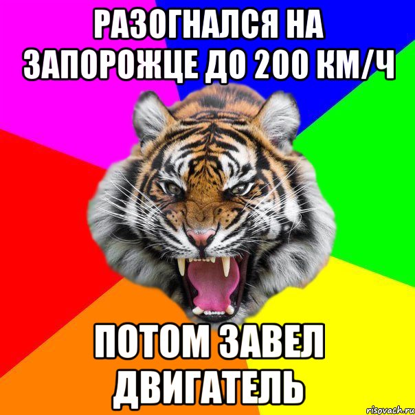 разогнался на запорожце до 200 км/ч потом завел двигатель, Мем  ДЕРЗКИЙ ТИГР