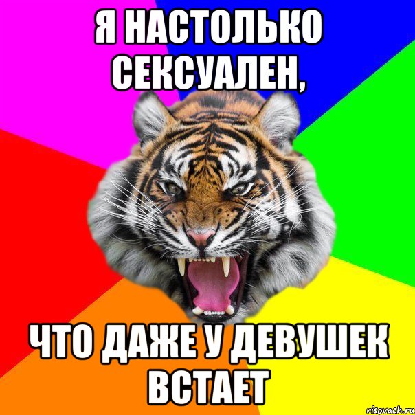 я настолько сексуален, что даже у девушек встает, Мем  ДЕРЗКИЙ ТИГР