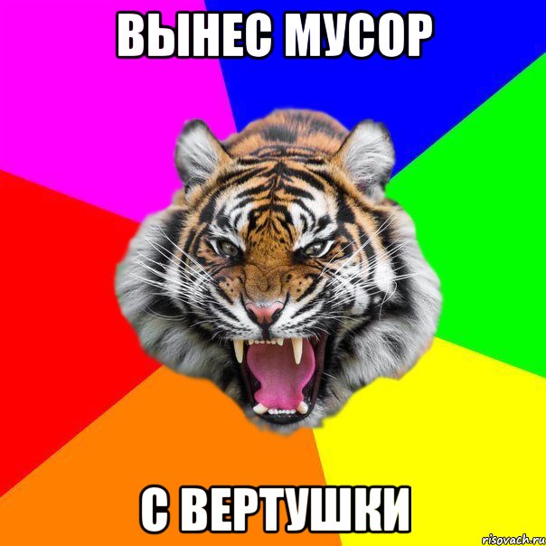 Вынес мусор с вертушки, Мем  ДЕРЗКИЙ ТИГР