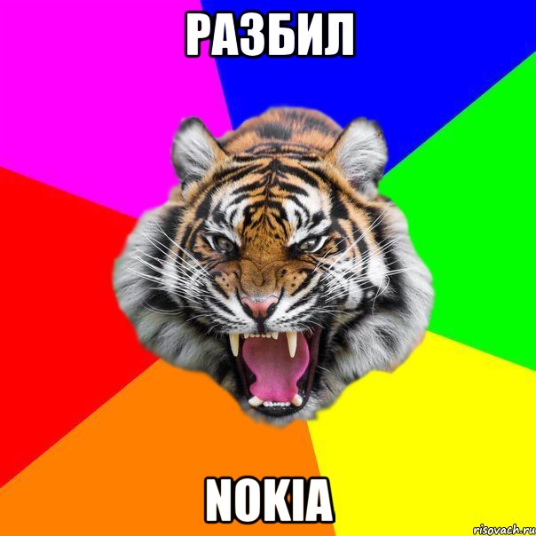 разбил nokia