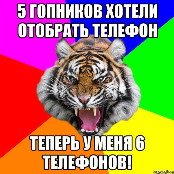 5 гопников хотели отобрать телефон теперь у меня 6 телефонов!, Мем  ДЕРЗКИЙ ТИГР