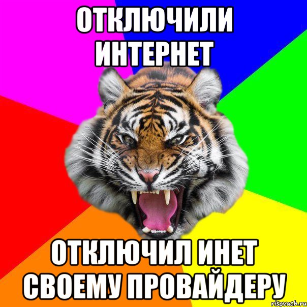 Отключили интернет Отключил инет своему провайдеру, Мем  ДЕРЗКИЙ ТИГР