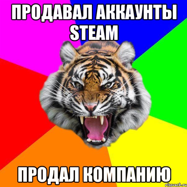 Продавал аккаунты steam Продал компанию