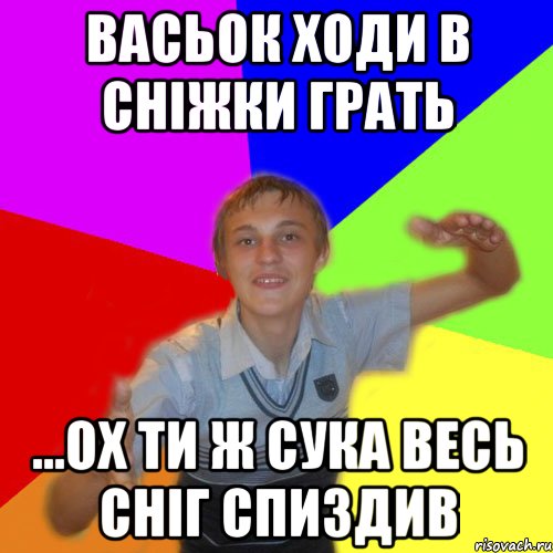 васьок ходи в сніжки грать ...ох ти ж сука весь сніг спиздив, Мем дк