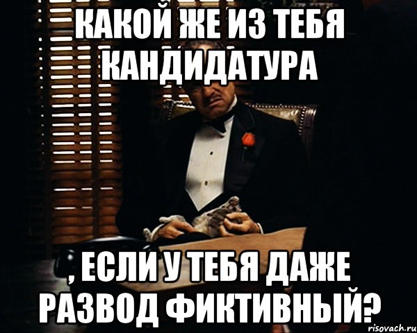 какой же из тебя кандидатура , если у тебя даже развод фиктивный?, Мем Дон Вито Корлеоне