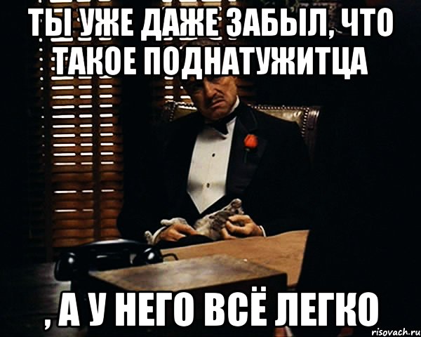 ты уже даже забыл, что такое поднатужитца , а у него всё легко, Мем Дон Вито Корлеоне