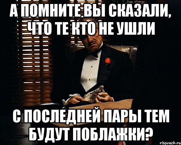 а помните вы сказали, что те кто не ушли с последней пары тем будут поблажки?, Мем Дон Вито Корлеоне