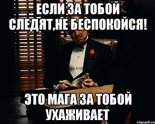 Если за тобой следят,не беспокойся! это Мага за тобой ухаживает, Мем Дон Вито Корлеоне