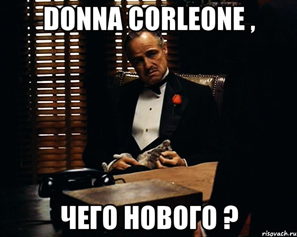 Donna Corleone , Чего нового ?, Мем Дон Вито Корлеоне