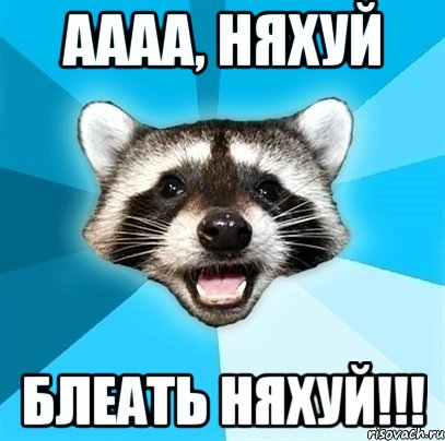 аааа, няхуй блеать няхуй!!!, Мем Енот-Каламбурист