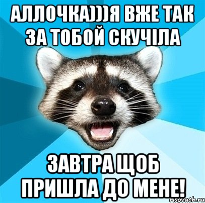 Аллочка)))я вже так за тобой скучіла завтра щоб пришла до мене!, Мем Енот-Каламбурист