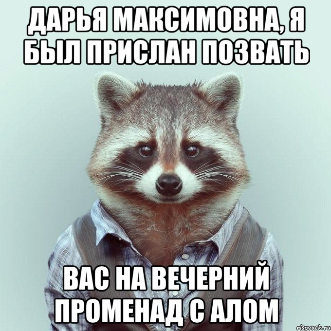 Дарья Максимовна, я был прислан позвать Вас на вечерний променад с Алом, Мем  Енот в рубашке