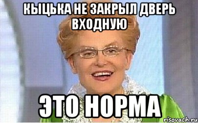 Кыцька не закрыл дверь входную Это норма, Мем Это норма