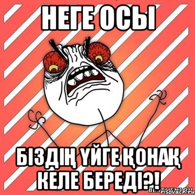 Неге осы біздің үйге қонақ келе береді?!, Мем  Злость