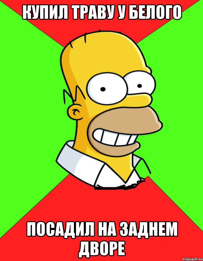 КУПИЛ ТРАВУ У БЕЛОГО ПОСАДИЛ НА ЗАДНЕМ ДВОРЕ, Мем  Гомер