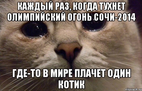 каждый раз, когда тухнет олимпийский огонь Сочи-2014 где-то в мире плачет один котик, Мем   В мире грустит один котик