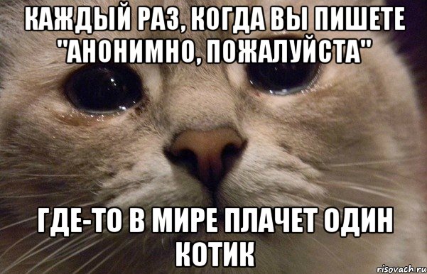 Каждый раз, когда вы пишете "Анонимно, пожалуйста" Где-то в мире плачет один котик, Мем   В мире грустит один котик