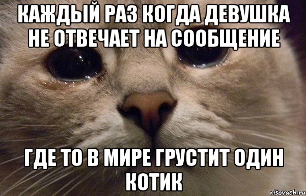 Каждый раз когда девушка не отвечает на сообщение где то в мире грустит один котик, Мем   В мире грустит один котик