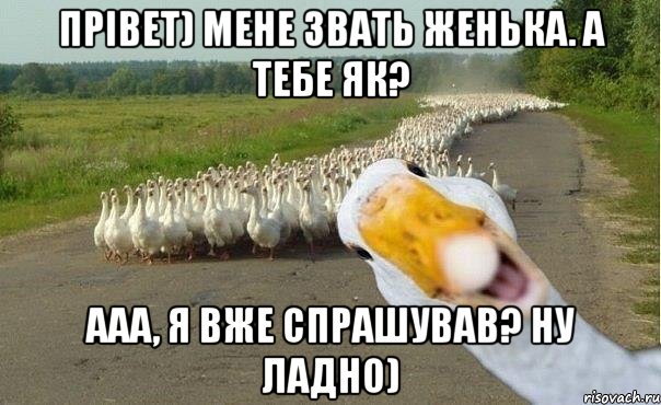 Прiвет) Мене звать Женька. А тебе як? Ааа, я вже спрашував? ну ладно), Мем гуси