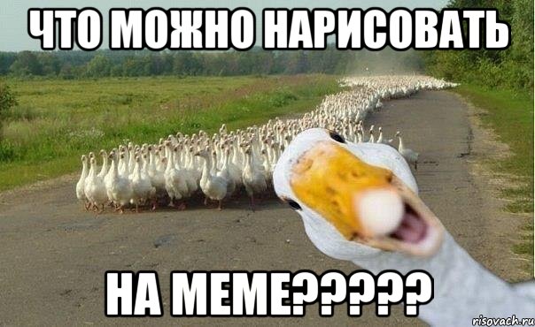 что можно нарисовать на меме?????, Мем гуси