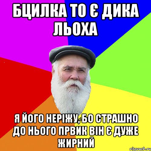 бцилка то є дика льоха я його неріжу, бо страшно до нього првик Він є дуже жирний, Мем Как говорил мой Дед