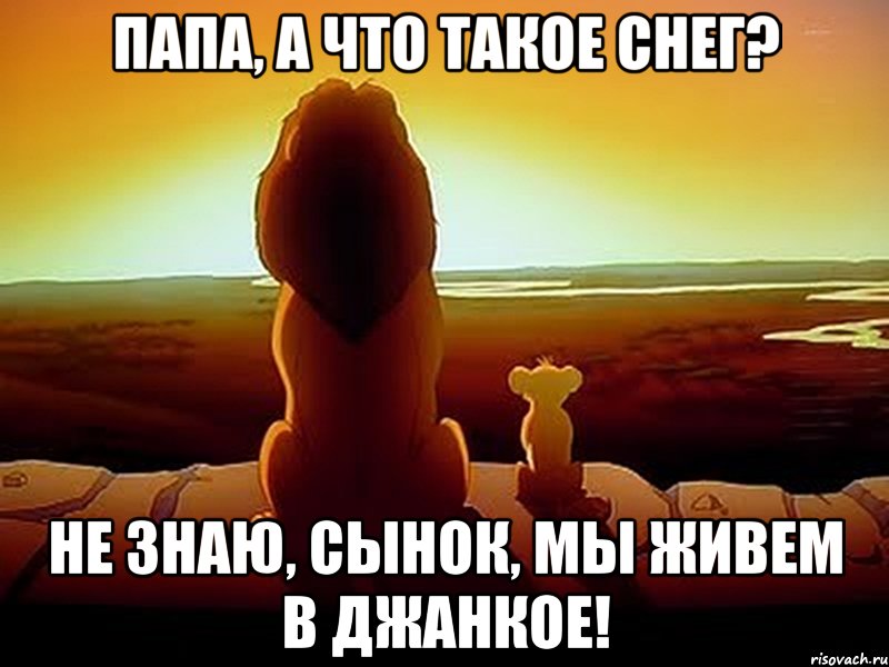 папа, а что такое снег? Не знаю, сынок, мы живем в джанкое!, Мем  король лев