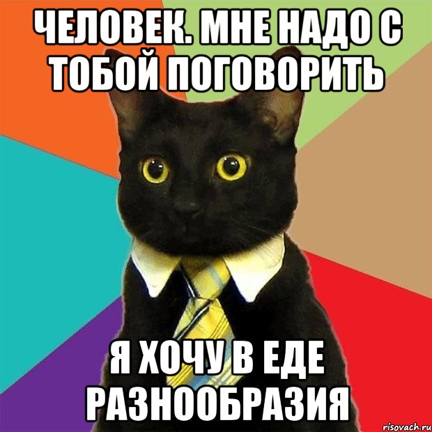 Человек. Мне надо с тобой поговорить Я хочу в еде разнообразия, Мем  Кошечка