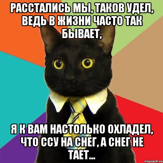 Расстались мы, таков удел, Ведь в жизни часто так бывает, Я к вам настолько охладел, Что ссу на снег, а снег не тает..., Мем  Кошечка