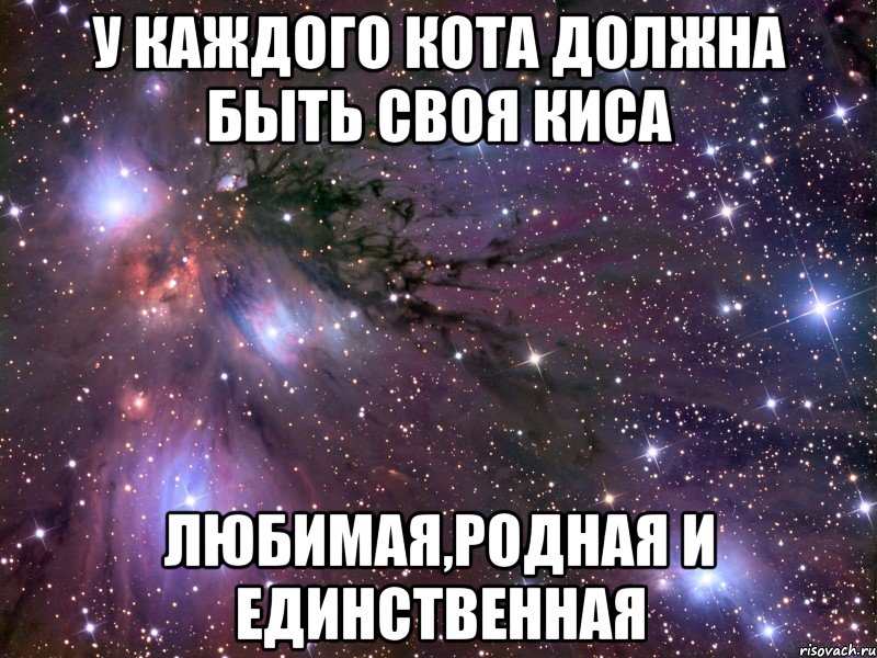 Киса любимая писатель