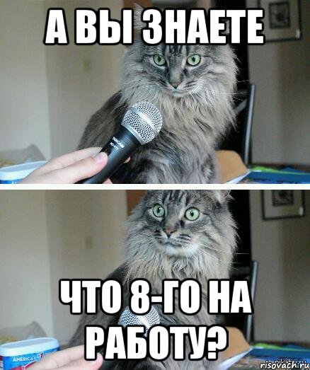 А вы знаете что 8-го на работу?, Комикс  кот с микрофоном