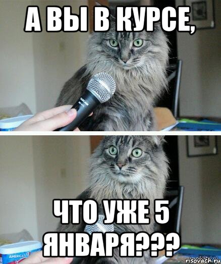 А вы в курсе, что уже 5 января???, Комикс  кот с микрофоном