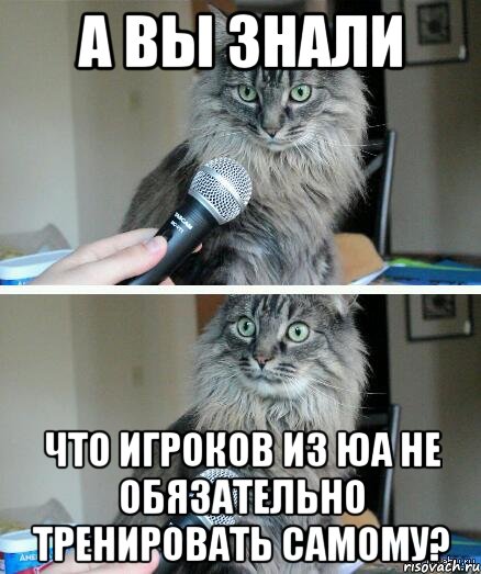 А вы знали что игроков из ЮА не обязательно тренировать самому?, Комикс  кот с микрофоном