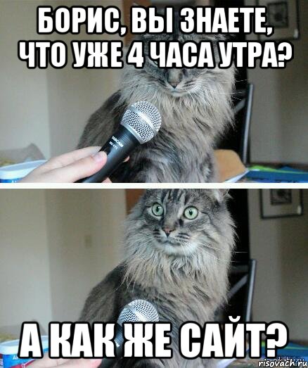 Борис, вы знаете, что уже 4 часа утра? А как же сайт?, Комикс  кот с микрофоном