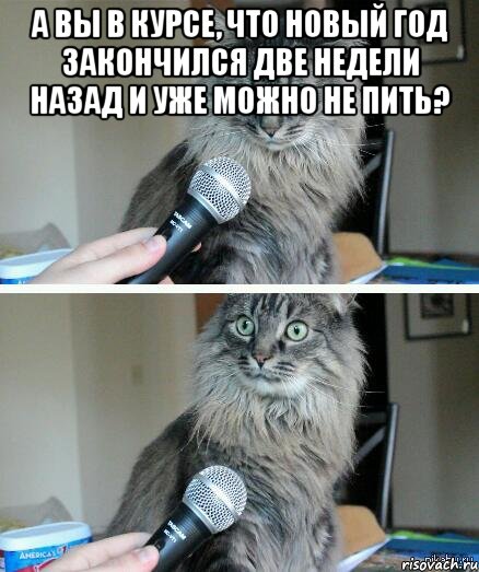 А вы в курсе, что новый год закончился две недели назад и уже можно не пить? , Комикс  кот с микрофоном