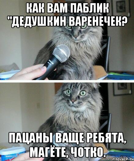 Как Вам Паблик "Дедушкин Варенечек? Пацаны ваще ребята, магёте, чотко., Комикс  кот с микрофоном