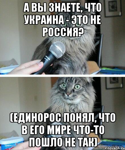 А вы знаете, что Украина - это не Россия? (единорос понял, что в его мире что-то пошло не так), Комикс  кот с микрофоном