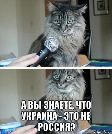 А вы знаете, что Украина - это не Россия?, Комикс  кот с микрофоном