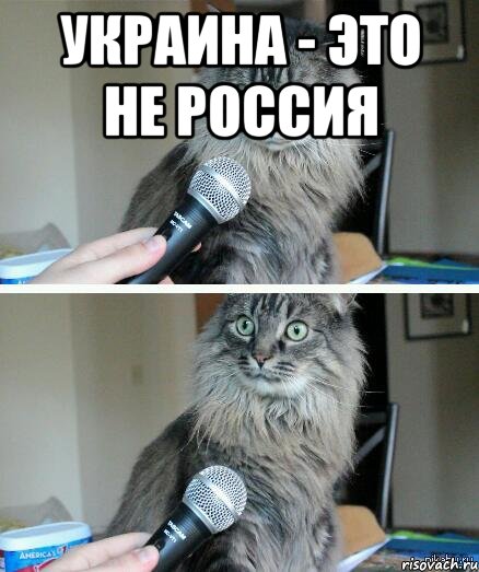 Украина - это не Россия , Комикс  кот с микрофоном