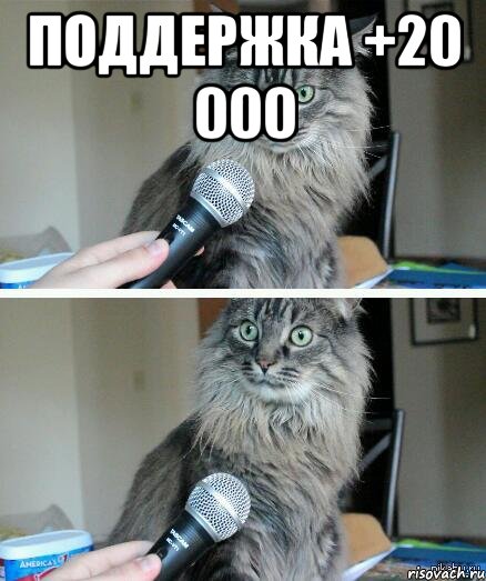 Поддержка +20 000 , Комикс  кот с микрофоном