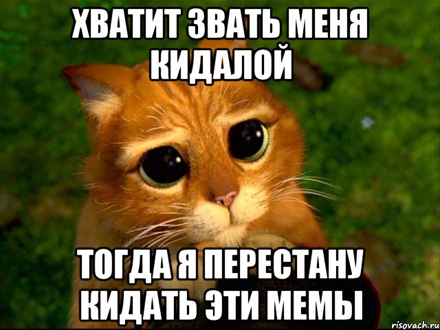 Хватит звать меня кидалой Тогда я перестану кидать эти мемы, Мем кот из шрека