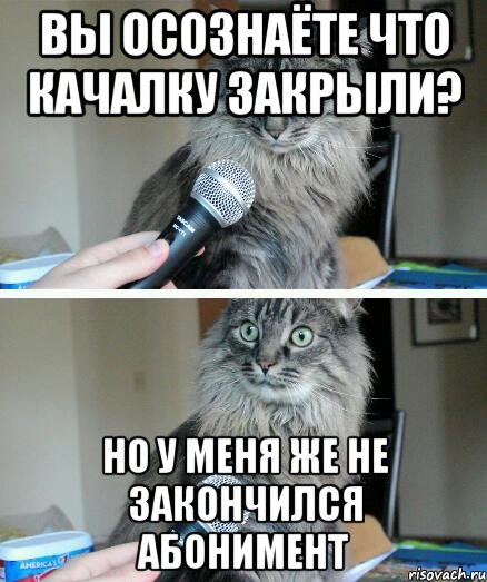 Вы осознаёте что качалку закрыли? Но у меня же не закончился абонимент, Комикс  кот с микрофоном