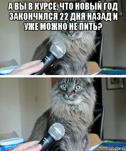 а вы в курсе, что Новый год закончился 22 дня назад и уже можно не пить? , Комикс  кот с микрофоном